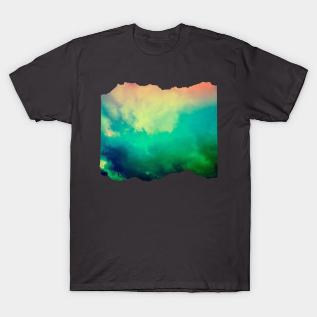 Tornado on a Whim T-Shirt by casualteesinc